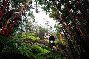 BIB: 
                            <button type="button" onclick="openModal(26201596)" class="btn btn-primary btn-sm float-right btn-popup" data-toggle="modal" data-target=".modal-high-quality">
                        <i class="fas fa-shopping-cart"></i> Add to Cart
                    </button>
                                            <button type="button" onclick="isThisMe(26201596, true)" class="btn btn-success btn-sm float-right btn-popup btn-isme hidden" data-toggle="tooltip" data-placement="bottom" title="นี่คือรูปของคุณใช่ไหม คลิกที่นี่เพื่อเอาเข้าอัลบั้ม">
                        <i class="fas fa-plus"></i> Add to album
                    </button>
                    <button type="button" onclick="isThisMe(26201596, false)" class="btn btn-warning btn-sm float-right btn-popup btn-isnotme hidden">
                        <i class="fas fa-ban"></i> Remove from album
                    </button>